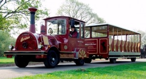 Locomotief (Bello)349
