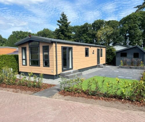 chalet 1100×400 met vaatwasser en oven op prachtig rustig 48+ park op de Veluwe zo voor het instappen met onderhoudsarme tuin en meubilair (19)